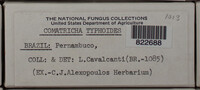 Image Associated With the Occurence